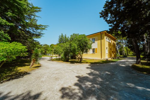 Fotografija Psihijatrijske bolnice Ugljan